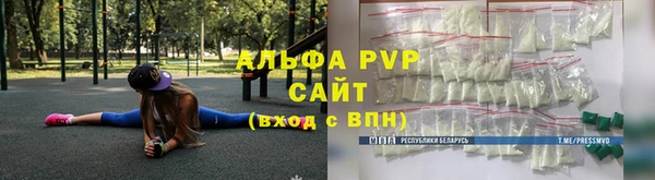 PSILOCYBIN Медвежьегорск
