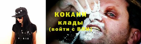 PSILOCYBIN Медвежьегорск
