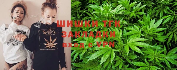 PSILOCYBIN Медвежьегорск
