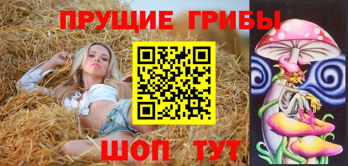Галлюциногенные грибы MAGIC MUSHROOMS  Галлюциногенные грибы MAGIC MUSHROOMS  Канск  Вход с VPN 