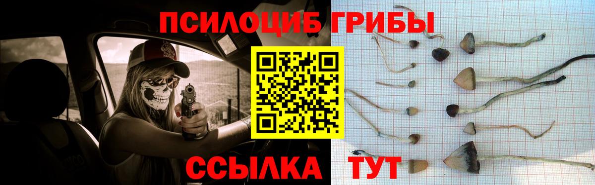 закладка  Канск  Галлюциногенные грибы Magic Shrooms 